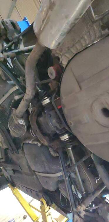 received_350259277069200.jpeg