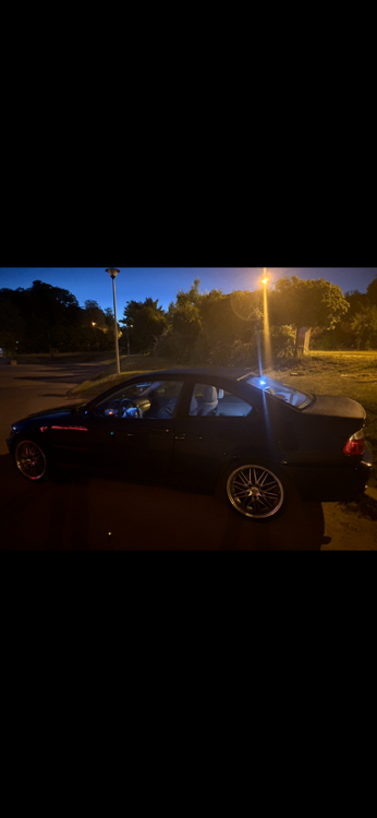 IMG_1396.PNG